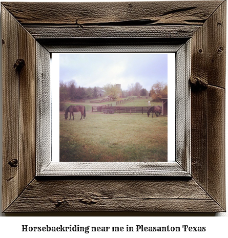 horseback riding near me in Pleasanton, Texas